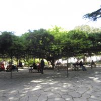 Lisbonne  50
