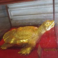 IMG 2161
